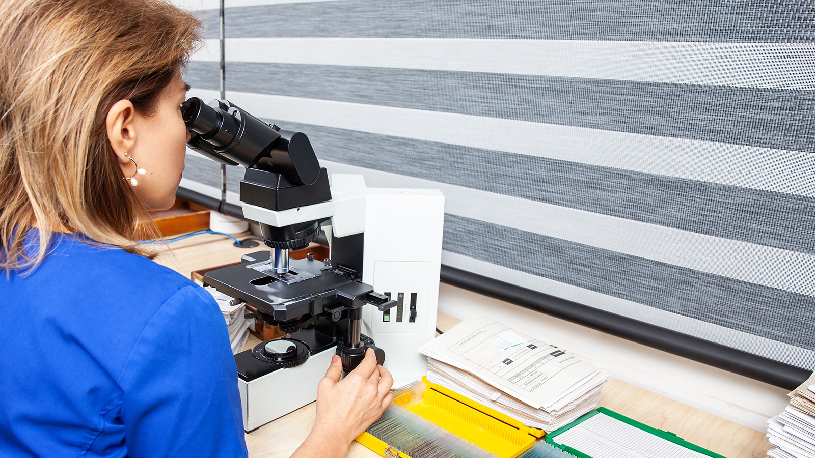 Histologic Technician students preparing tissue samples in a laboratory setting.