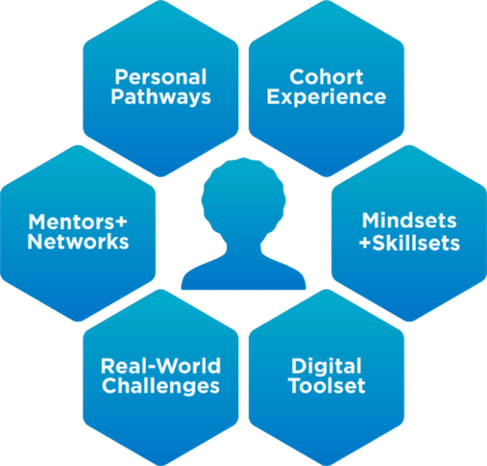 The Dimensions of Experience that the Ideas Academy offers.