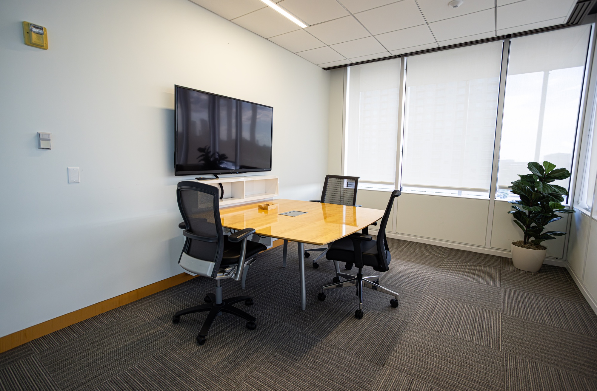 Interior shot of the working space in the Red Sea Room.