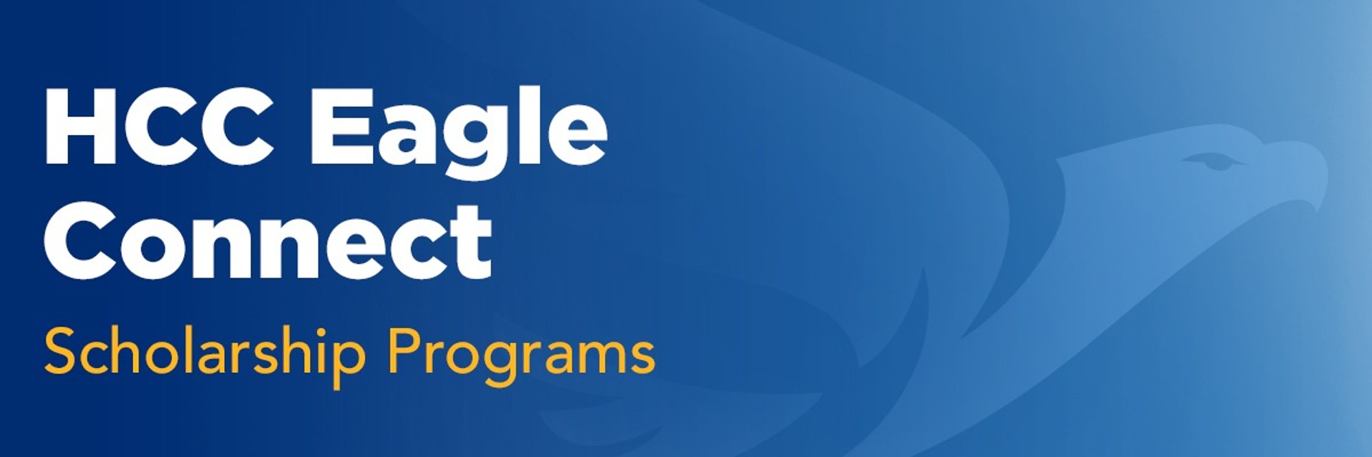 Eagle Connect Scholarship Programs