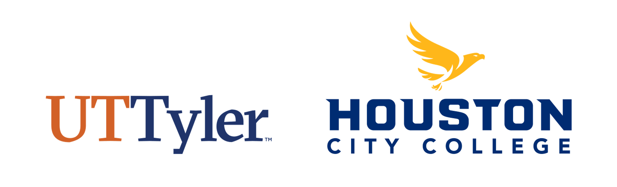 UT Tyler | Houston CIty College