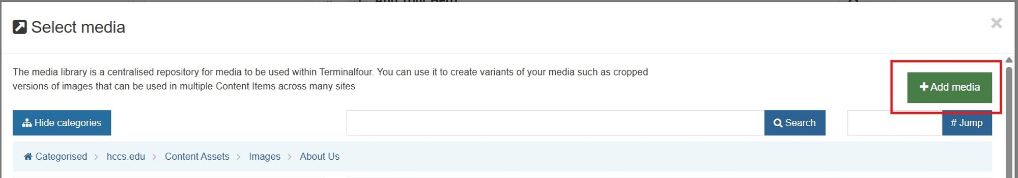 Add Media button