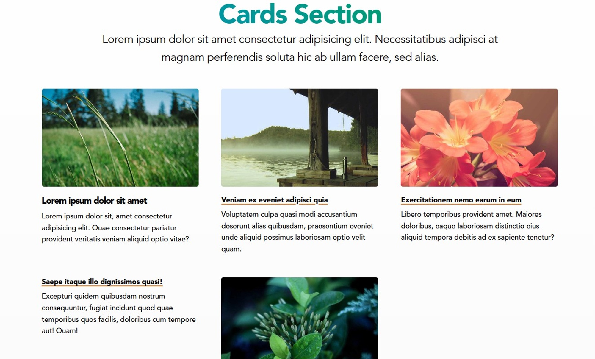 Screenshot of Cards Section