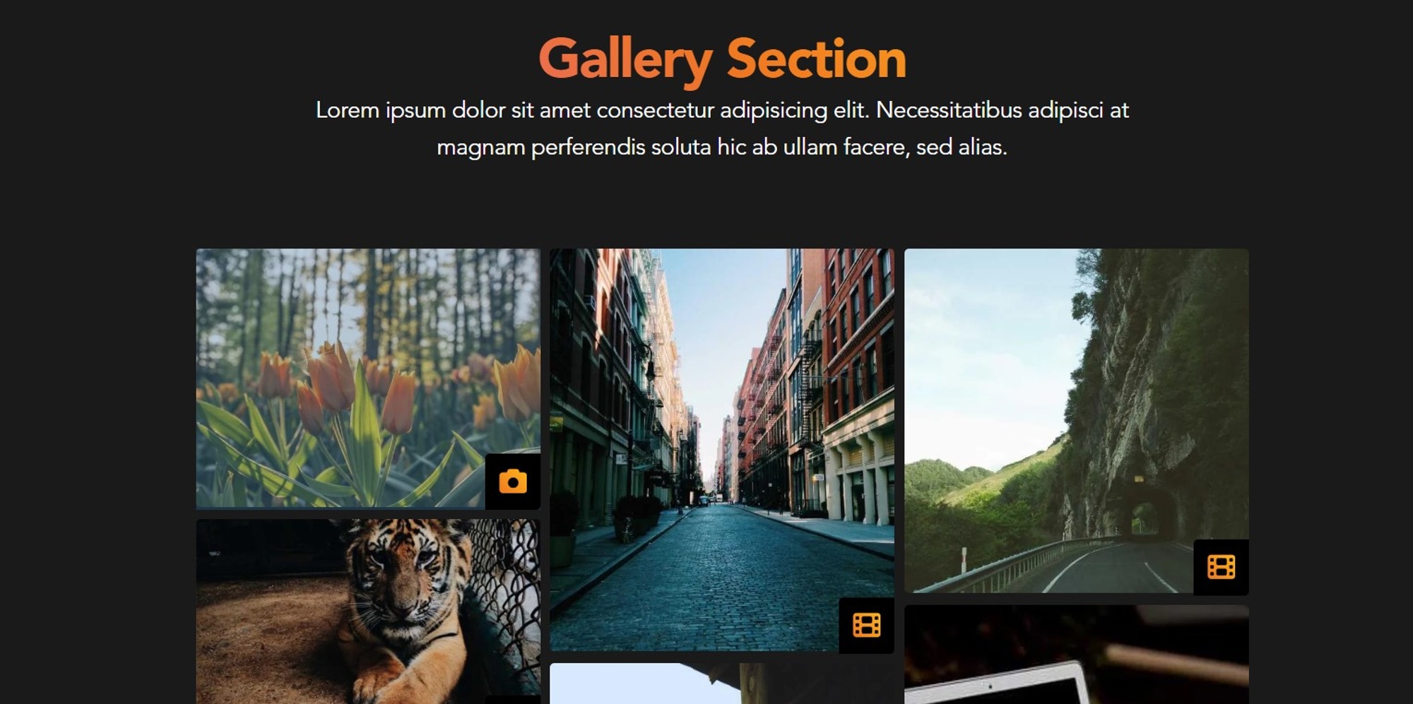 Screenshot of Gallery Section