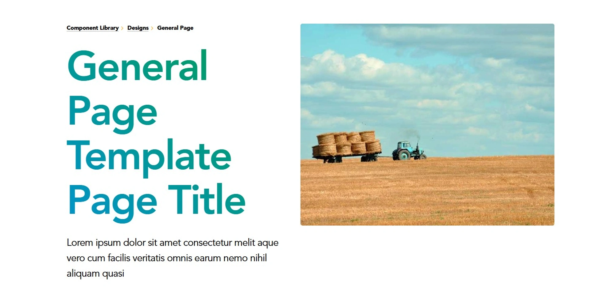 Screenshot of General Hero Section