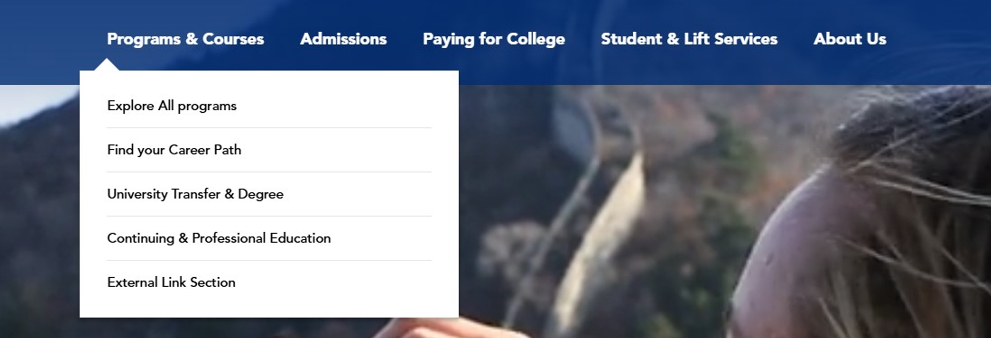 Screenshot of the Megamenu