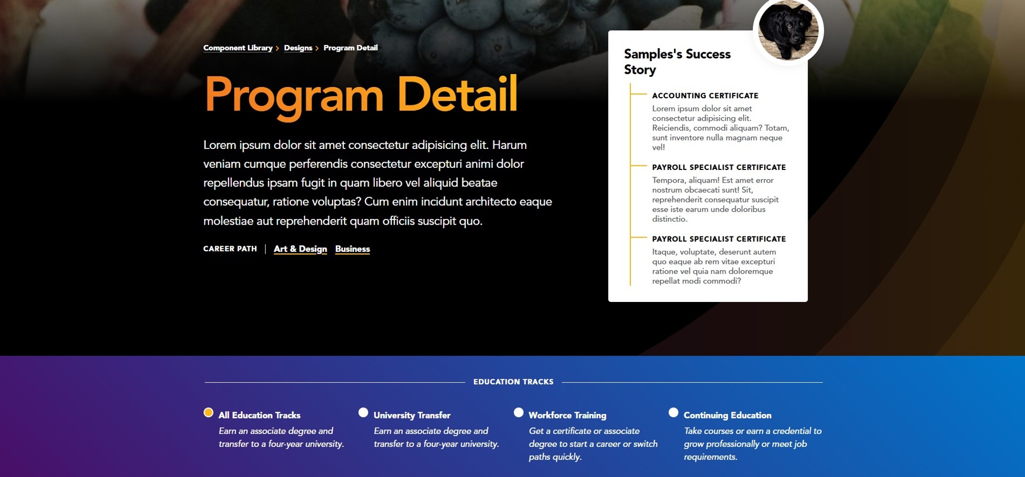 Screenshot of Program Hero Section