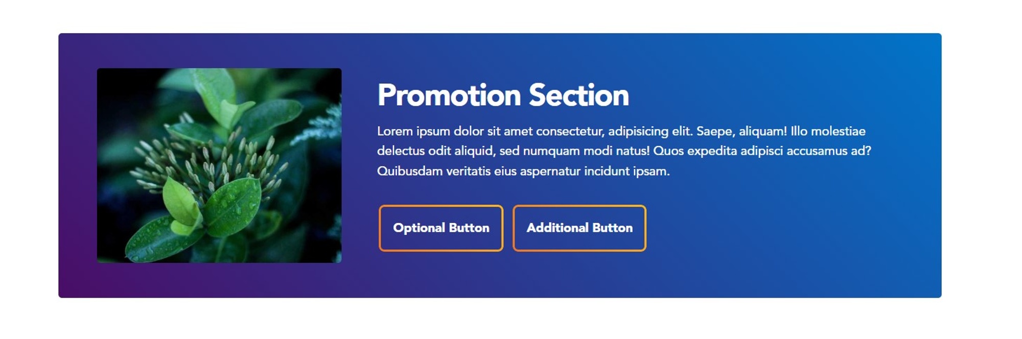 Screenshot of Promotion
