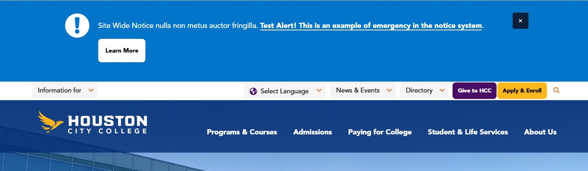 Screenshot of site wide notice type message
