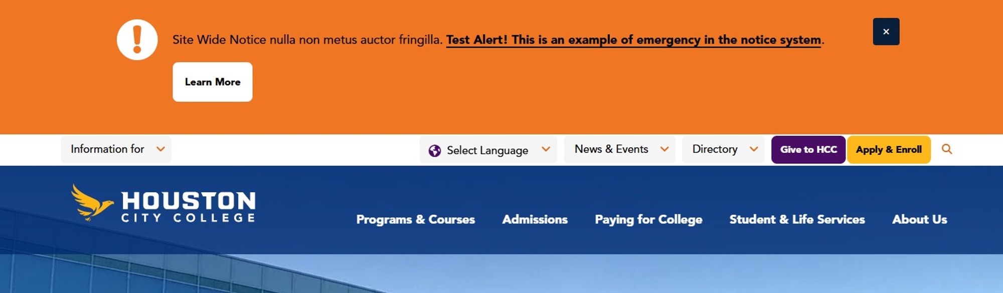 Screenshot of site wide notice type warning