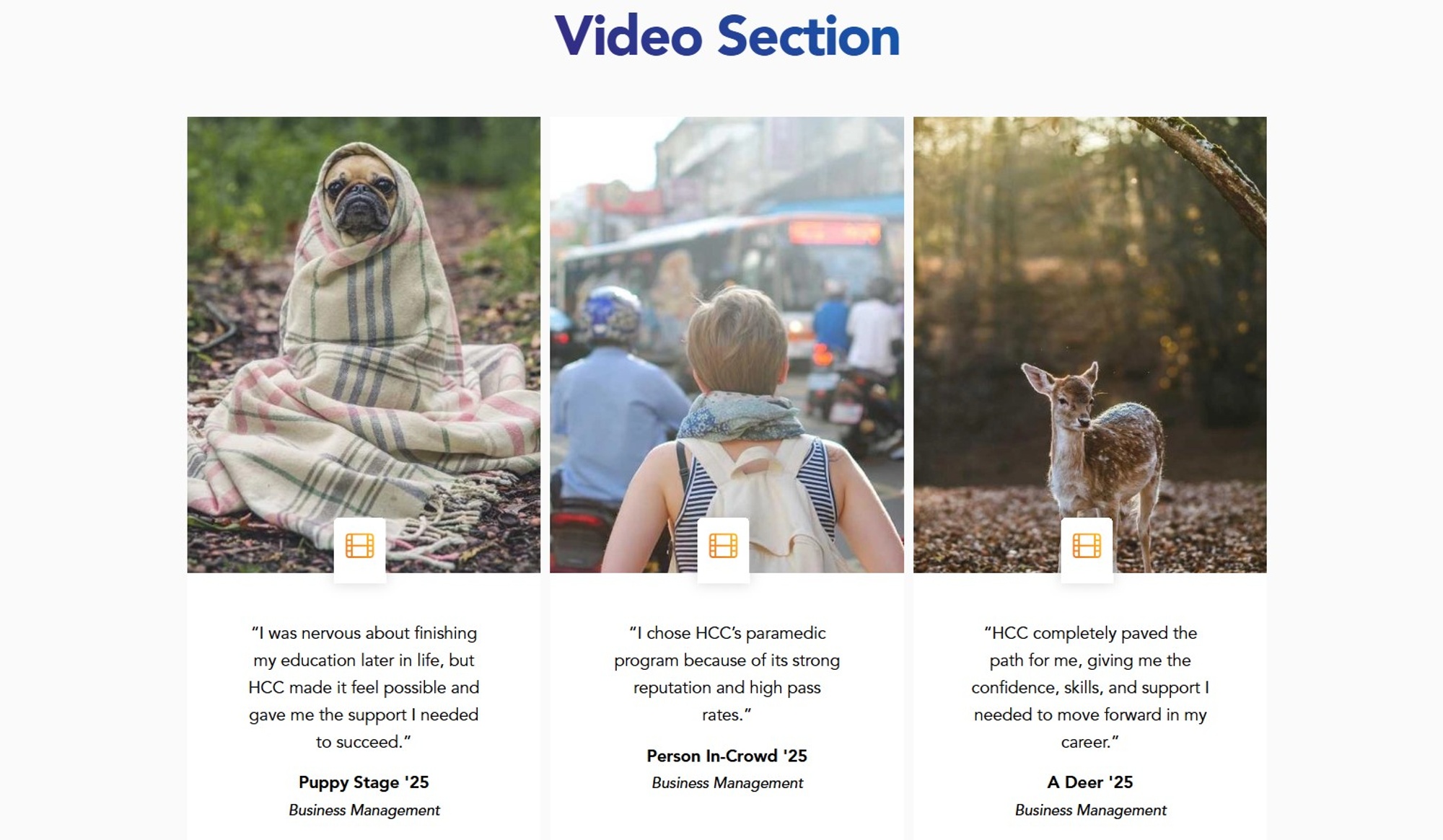 Screenshot of Video Section