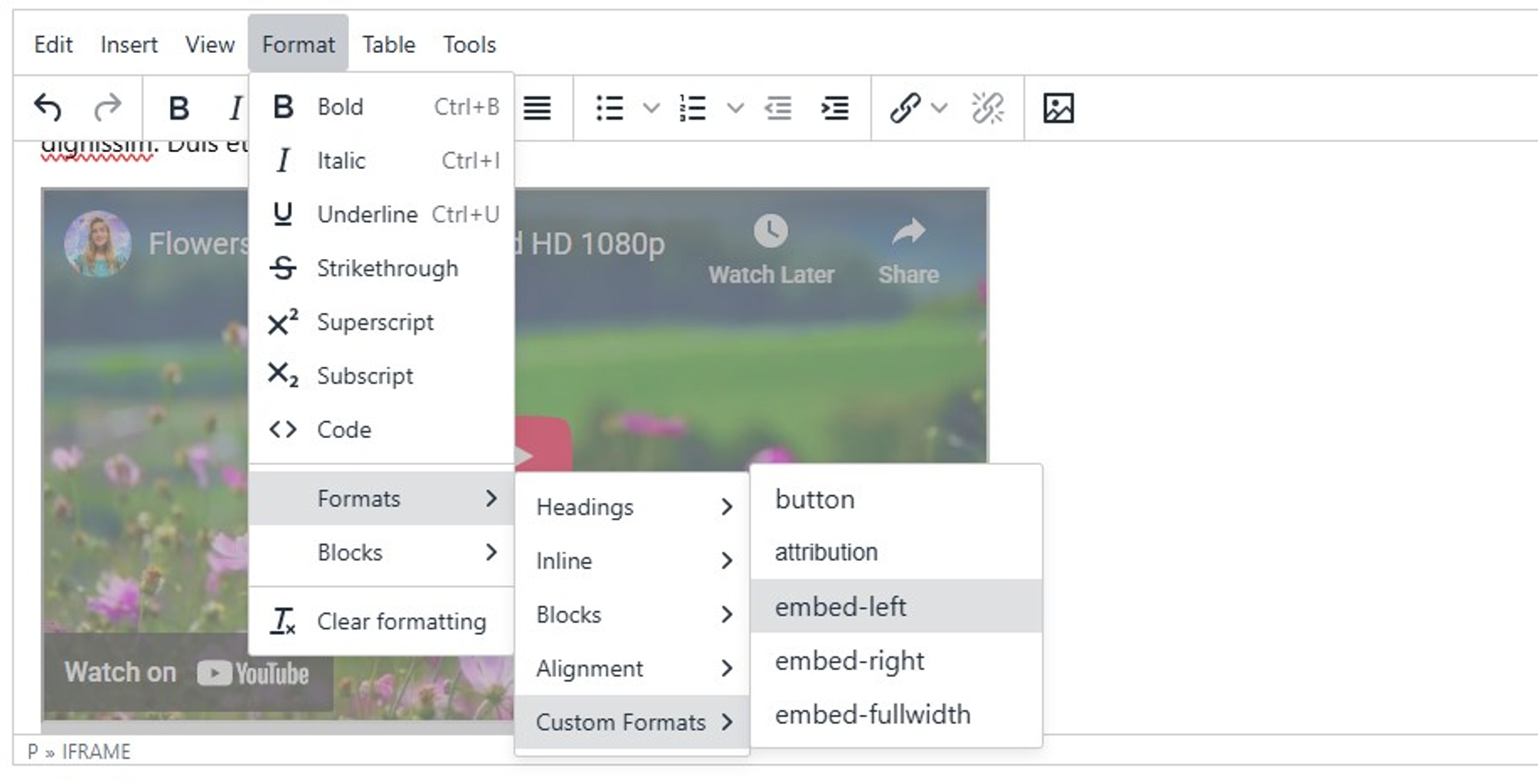 Applying custom format for embed to an iframe in WYSIWYG