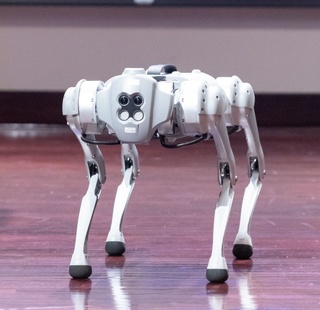 An AI robot dog stands on a stage at an HCC event.